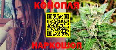Альфа ПВП Шебекино